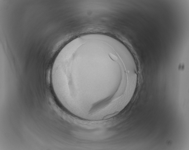 X0000110950019200907311053