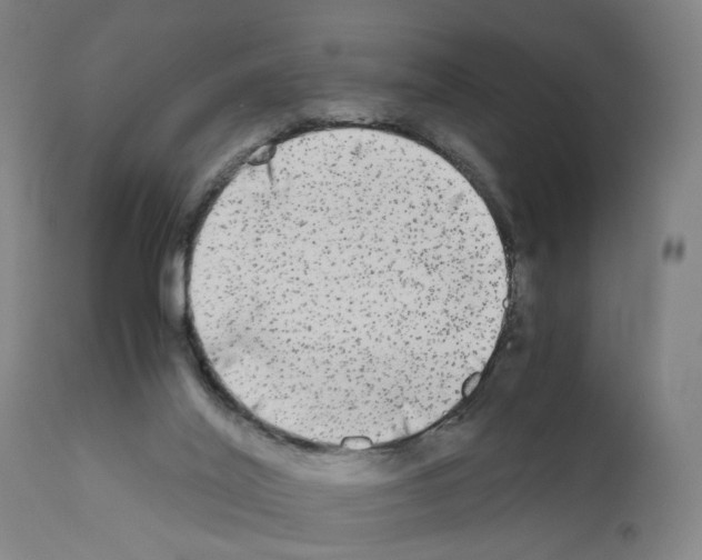 X0000110950020200907311053