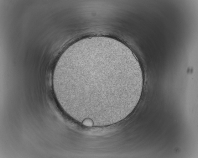X0000110950021200907311053