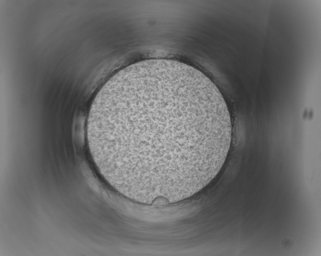 X0000110950022200907311053
