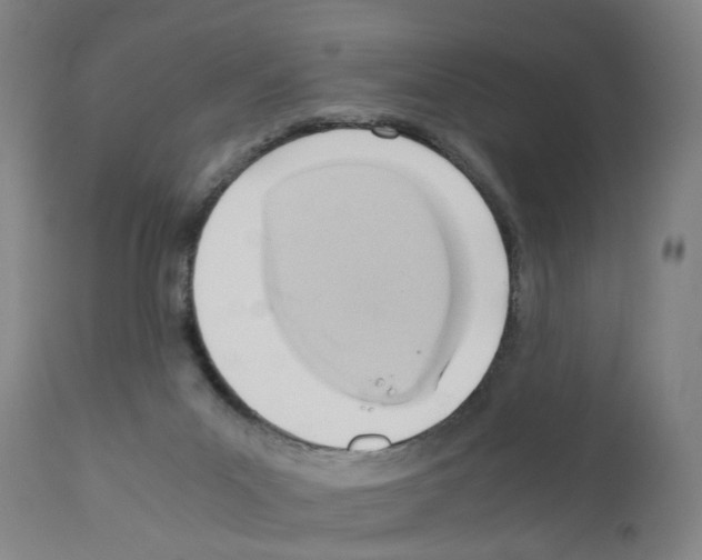 X0000110950023200907311053