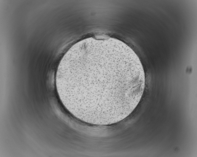 X0000110950024200907311053