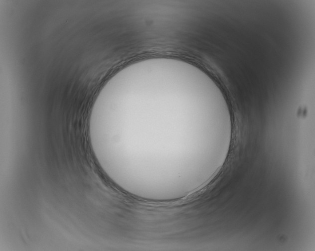 X0000110950025200907311053