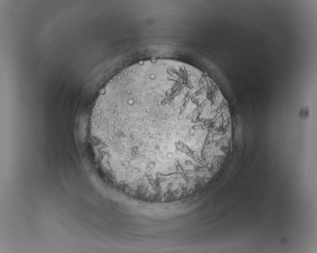 X0000110950026200907311053