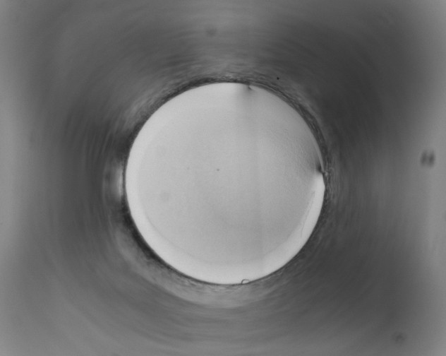 X0000110950027200907311053