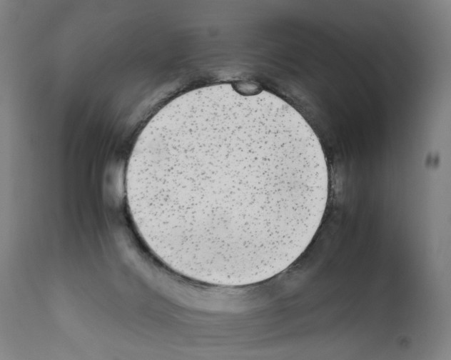 X0000110950028200907311053