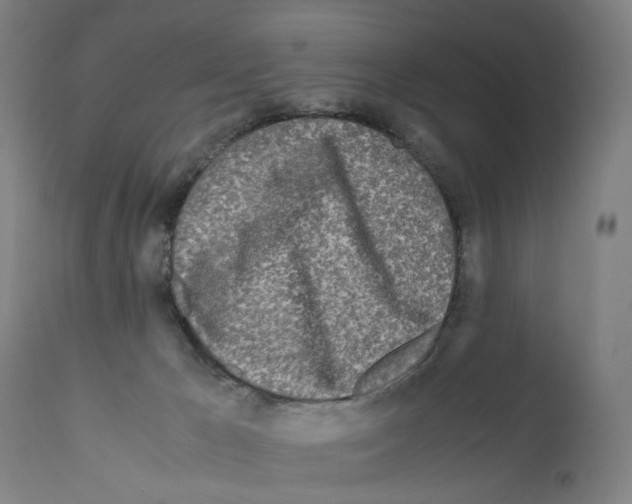 X0000110950029200907311053