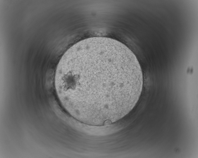 X0000110950030200907311053