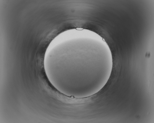 X0000110950031200907311053