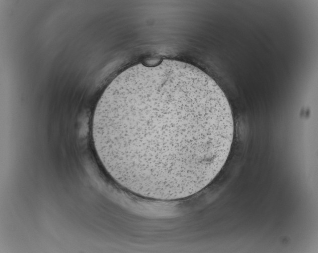 X0000110950032200907311053