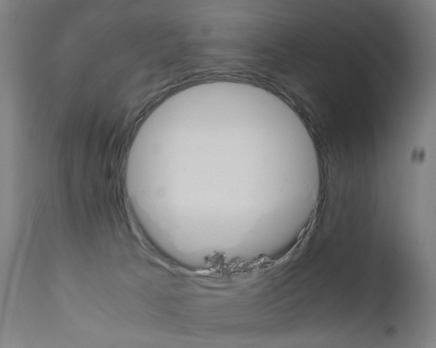 X0000110950033200907311053