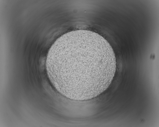 X0000110950034200907311053