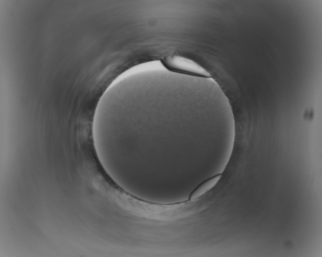 X0000110950035200907311053
