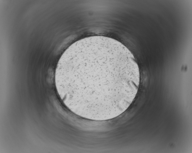 X0000110950036200907311053