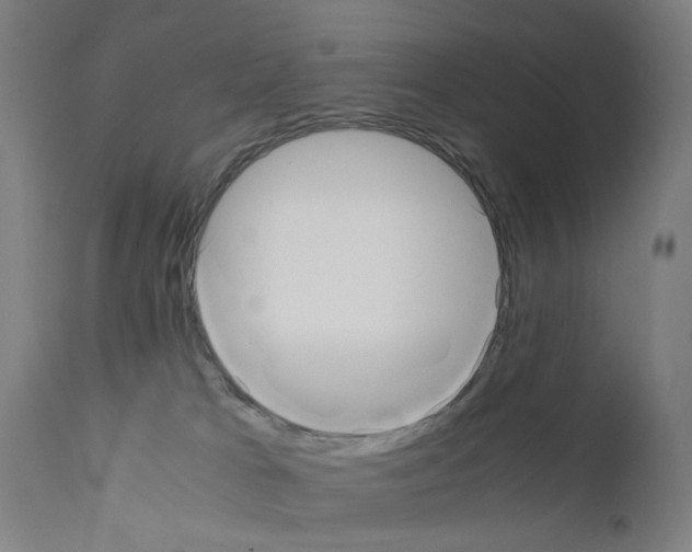 X0000110950037200907311053