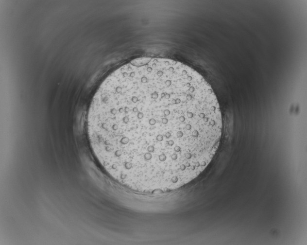 X0000110950038200907311053