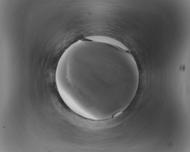 X0000110950039200907311053