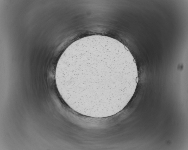 X0000110950040200907311053