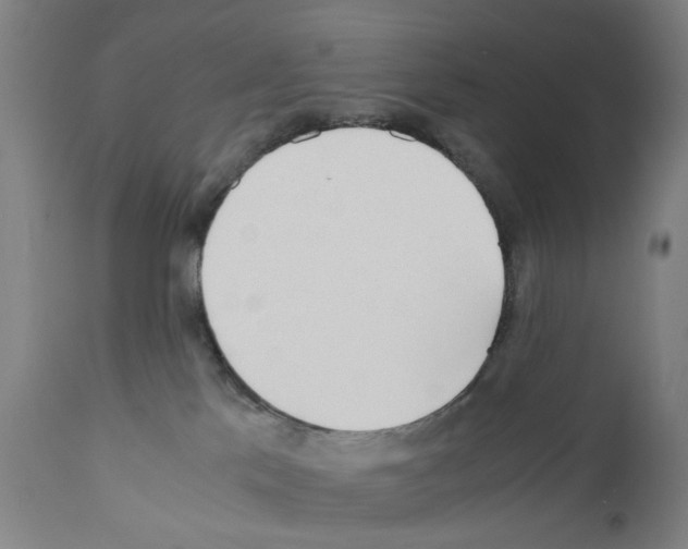X0000110950041200907311053