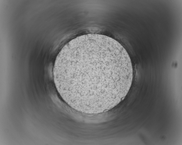 X0000110950042200907311053