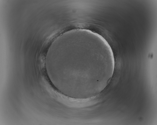 X0000110950043200907311052