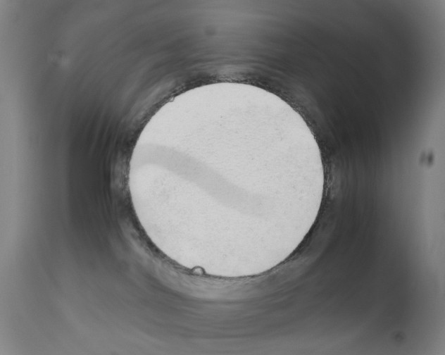 X0000110950044200907311052