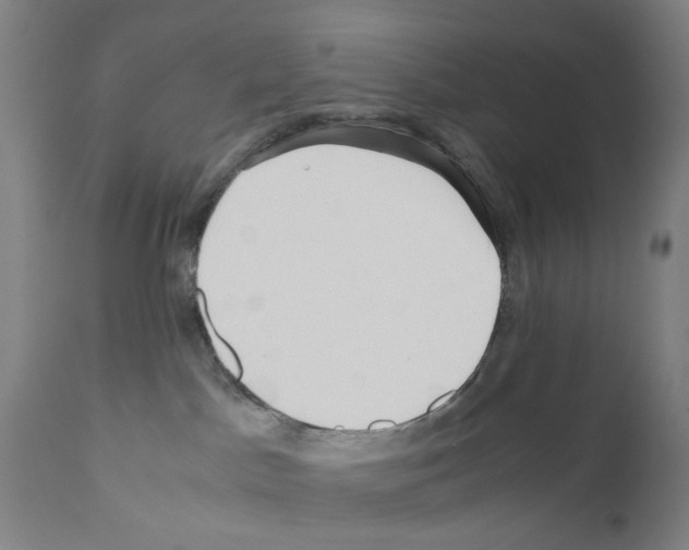 X0000110950045200907311052
