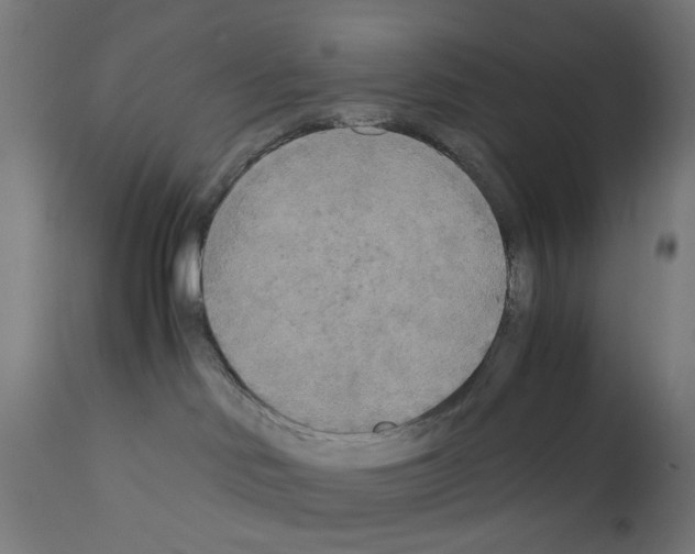 X0000110950046200907311052