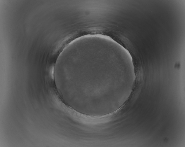 X0000110950047200907311052