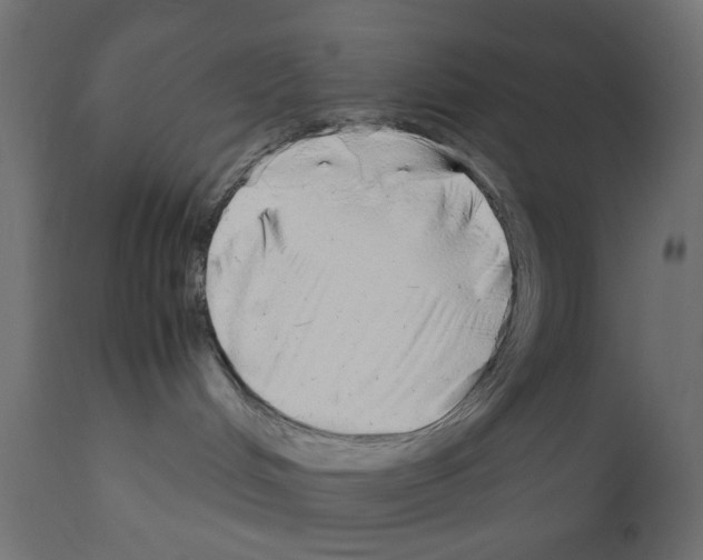 X0000110950048200907311052