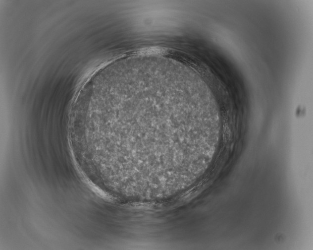 X0000110950049200907311052