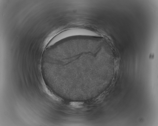 X0000110950051200907311052