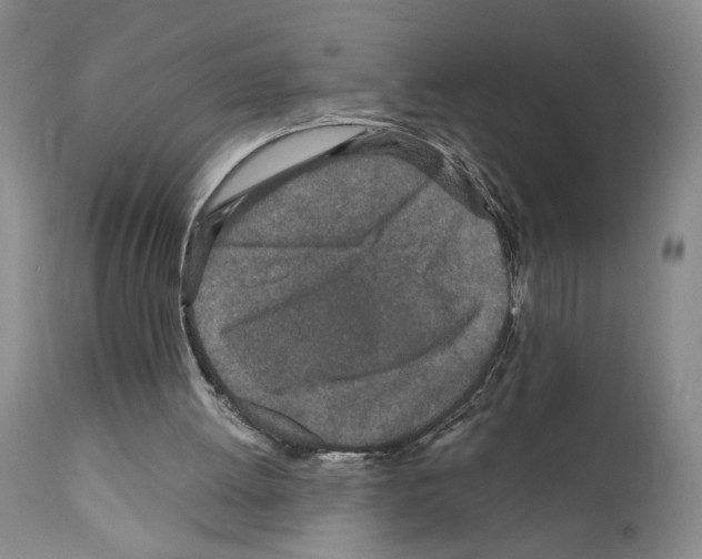 X0000110950052200907311052