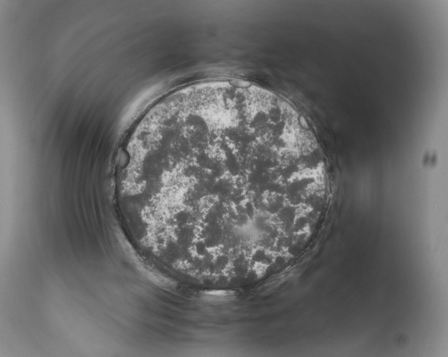 X0000110950053200907311052