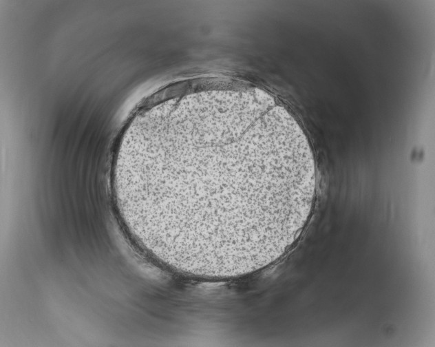 X0000110950054200907311052