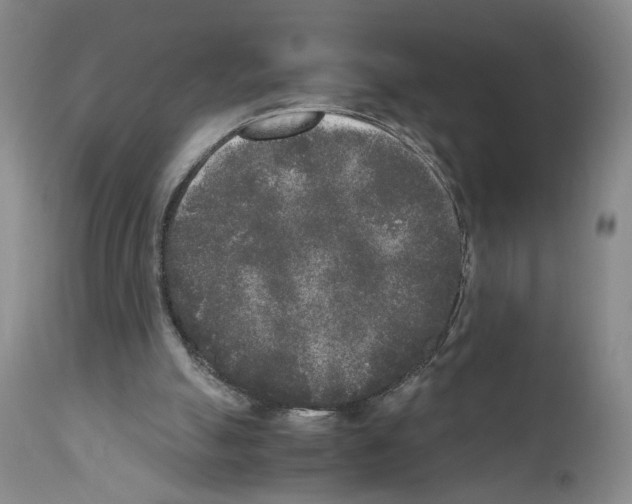 X0000110950055200907311052