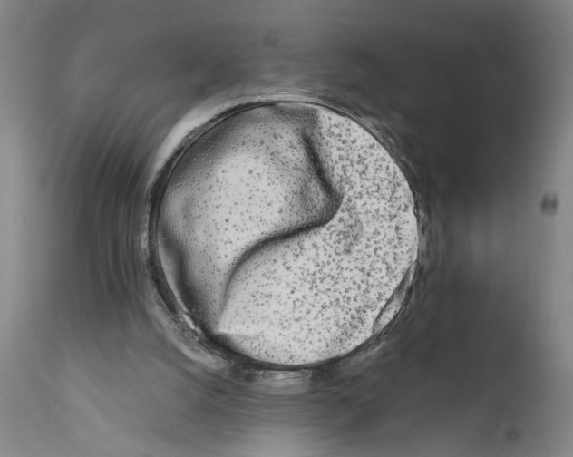 X0000110950056200907311052