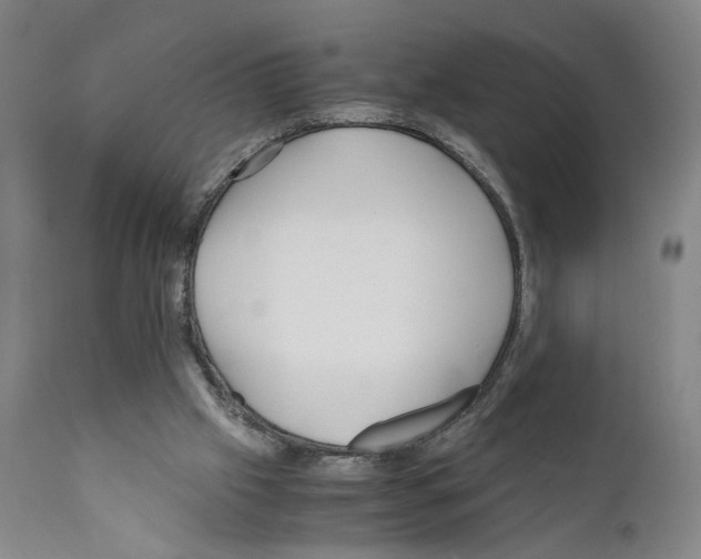 X0000110950057200907311052