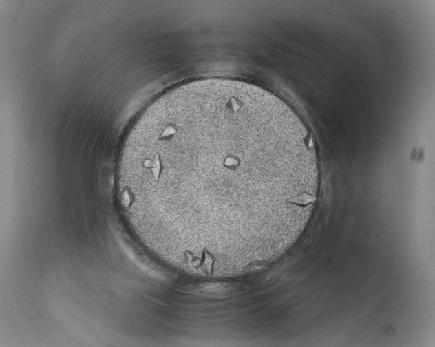 X0000110950059200907311052
