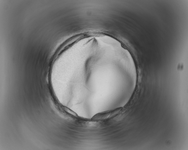 X0000110950060200907311052