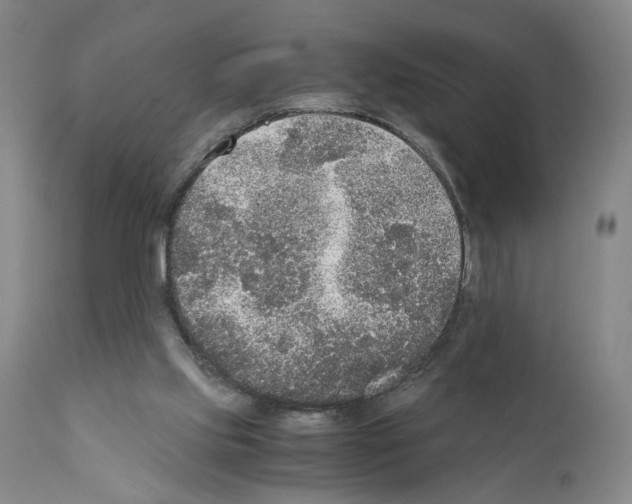 X0000110950061200907311052