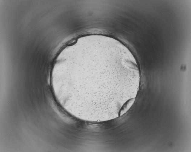 X0000110950062200907311052