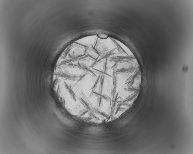 X0000110950063200907311052