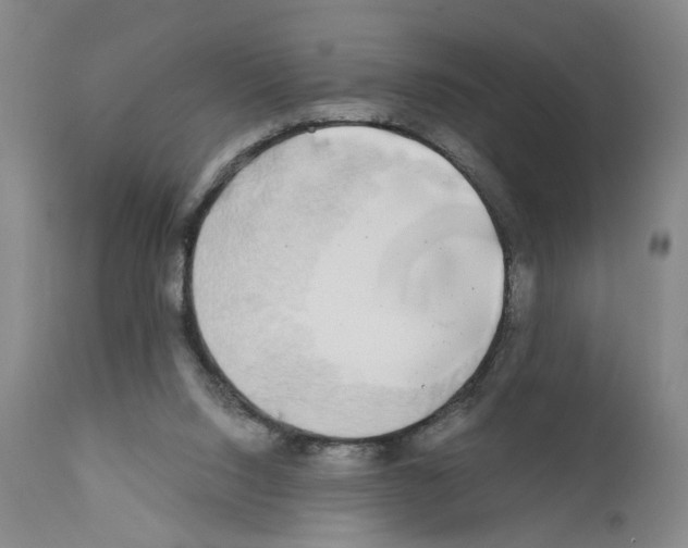 X0000110950064200907311052