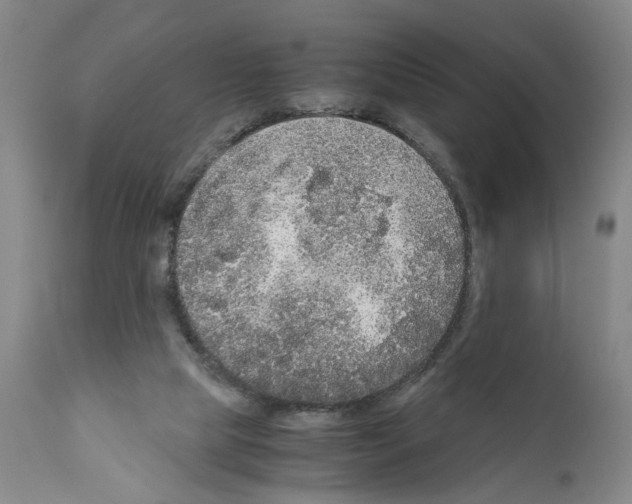 X0000110950065200907311052