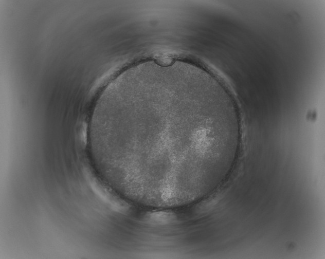 X0000110950067200907311052