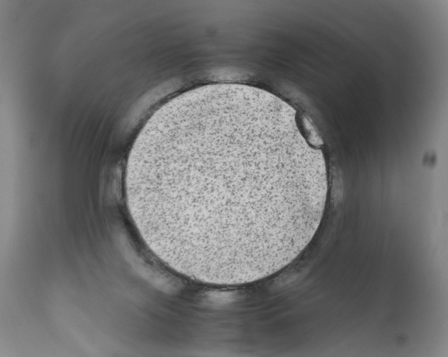 X0000110950071200907311052