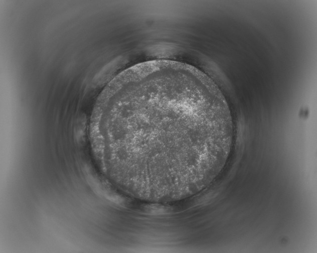 X0000110950073200907311052