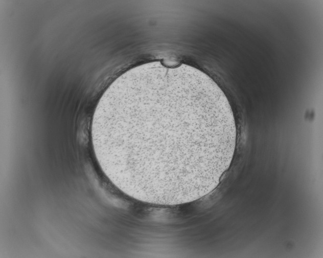 X0000110950074200907311052