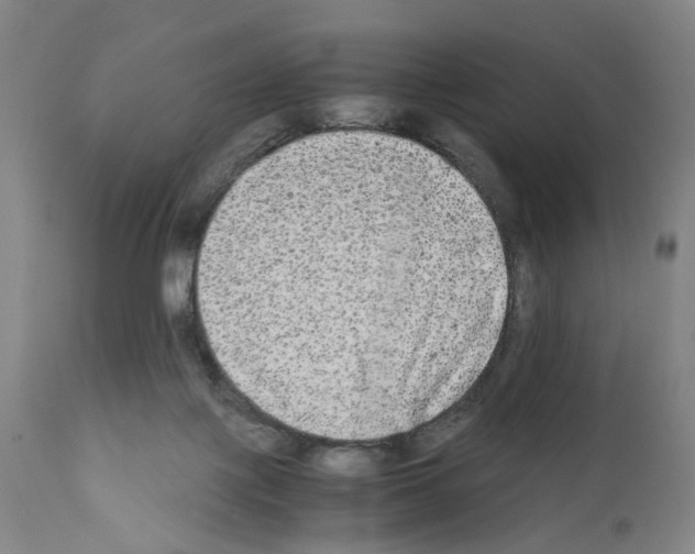 X0000110950075200907311052